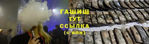индика Абаза