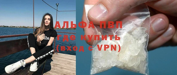 индика Абаза