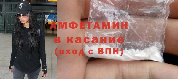 индика Абаза