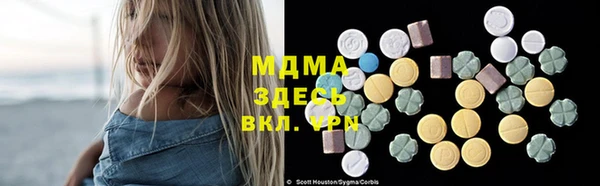 молекула духа Ельня