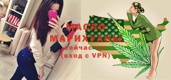 индика Абаза
