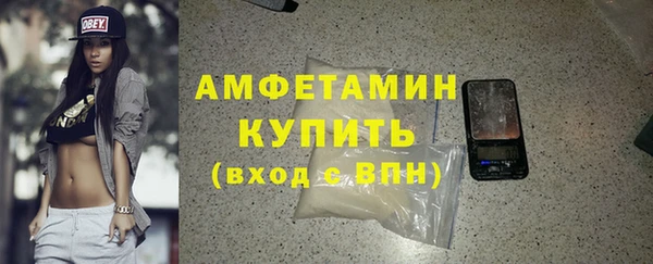 индика Абаза