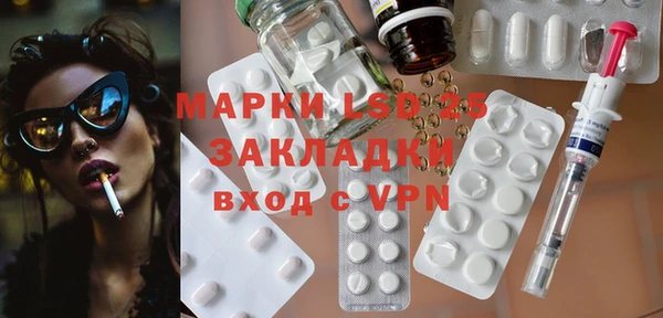 индика Абаза