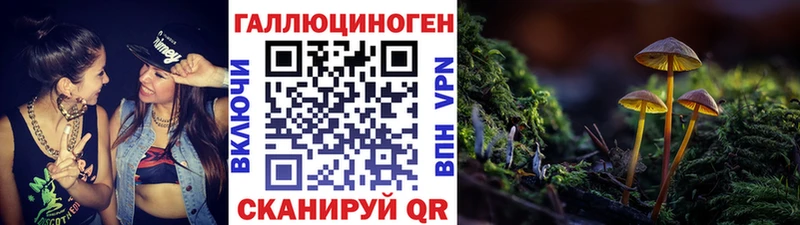 как найти закладки  Оса  кракен ТОР  Псилоцибиновые грибы Cubensis 